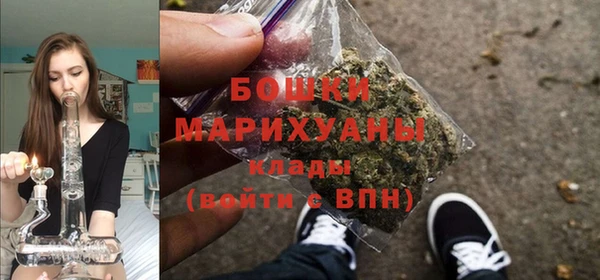 соль ск Осташков