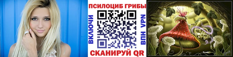 Галлюциногенные грибы MAGIC MUSHROOMS  даркнет сайт  Яблоновский 